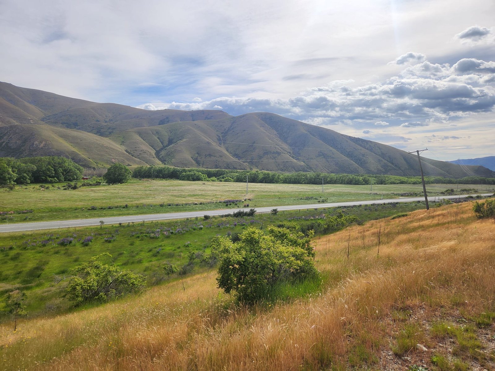 Dunstan Downs Station — looking toward the Ida Valley